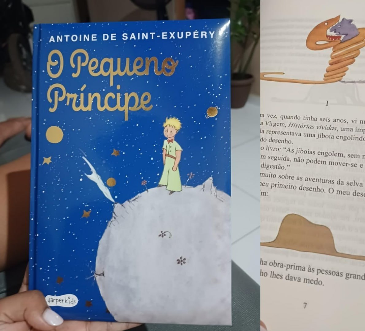 📚 O Pequeno Príncipe - Edição Almofadada