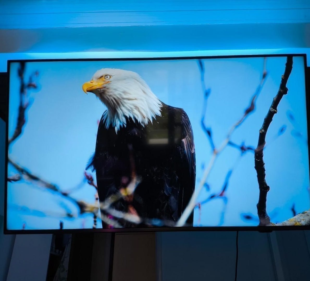 📺 Smart TV 65" 4K Philips Ambilight Titan