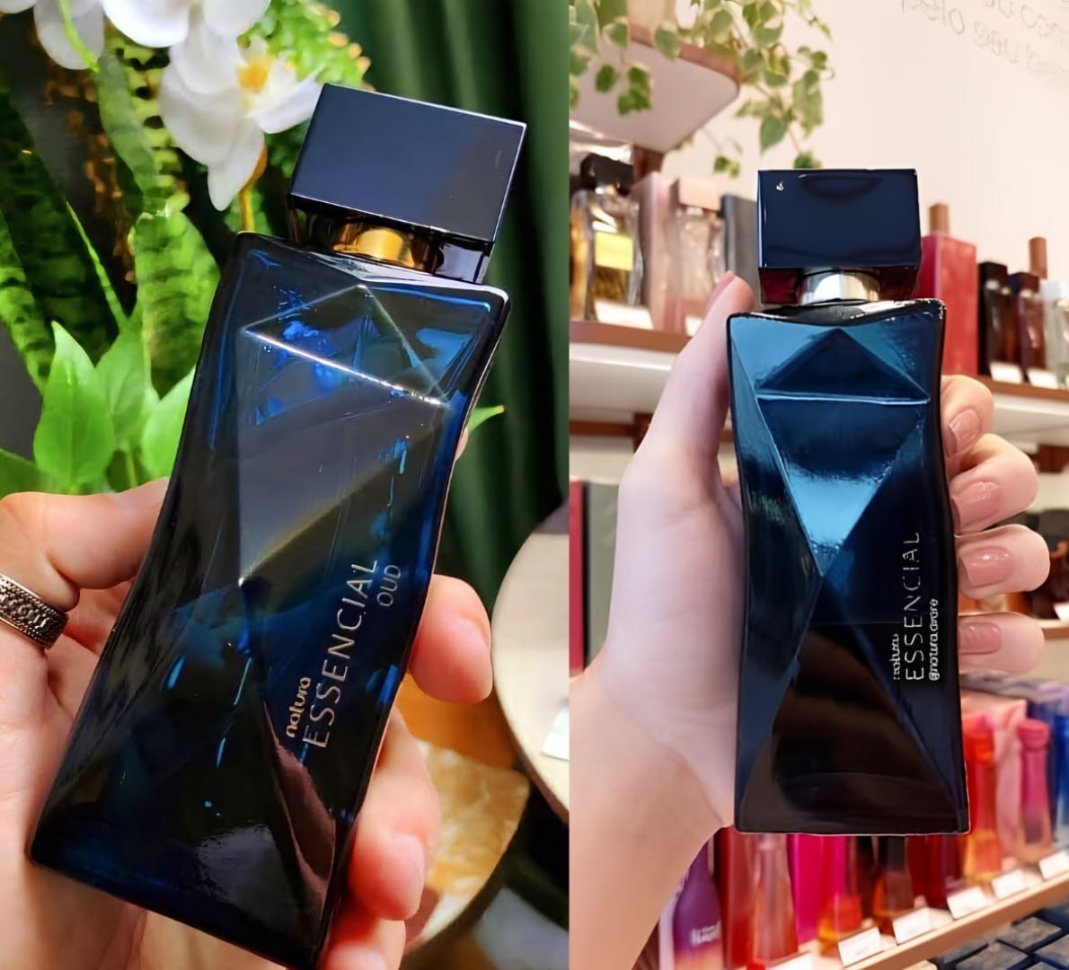 🌬 Perfume Essencial Oud Natura Deo Parfum 100ml