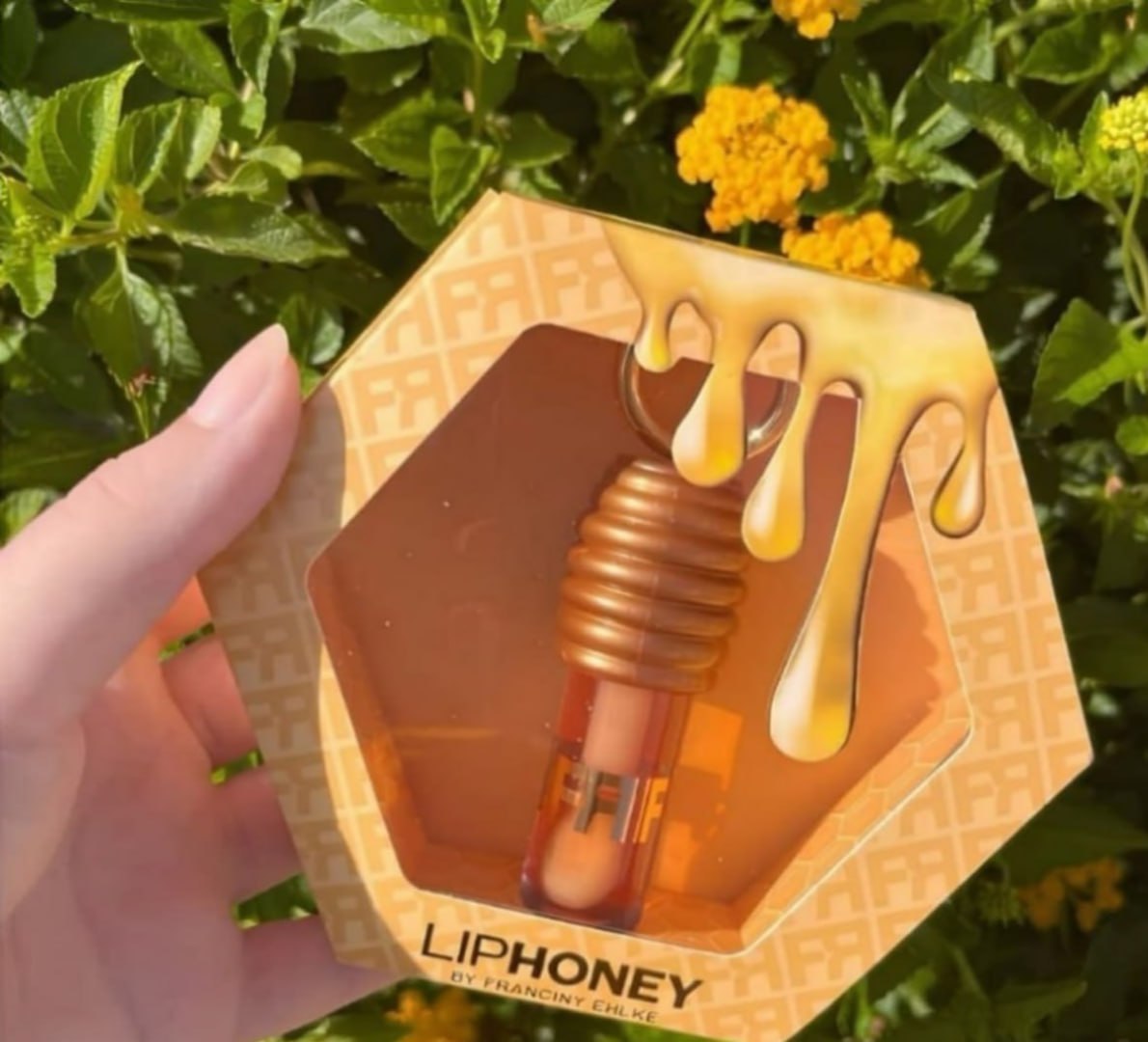 🍯 Gloss Fran By Franciny Ehlke Liphoney Mel